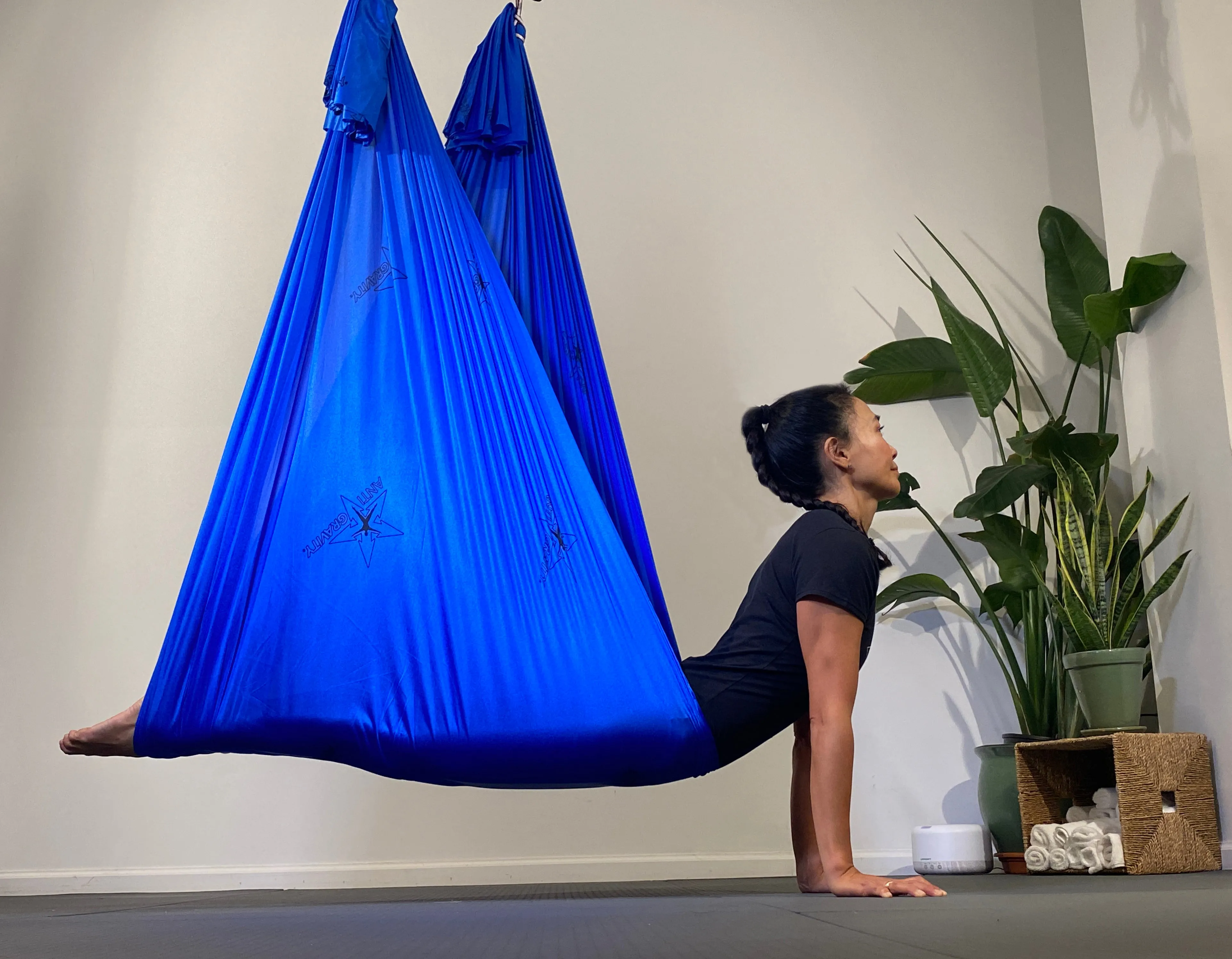 The Harrison AntiGravity® Hammock Kit