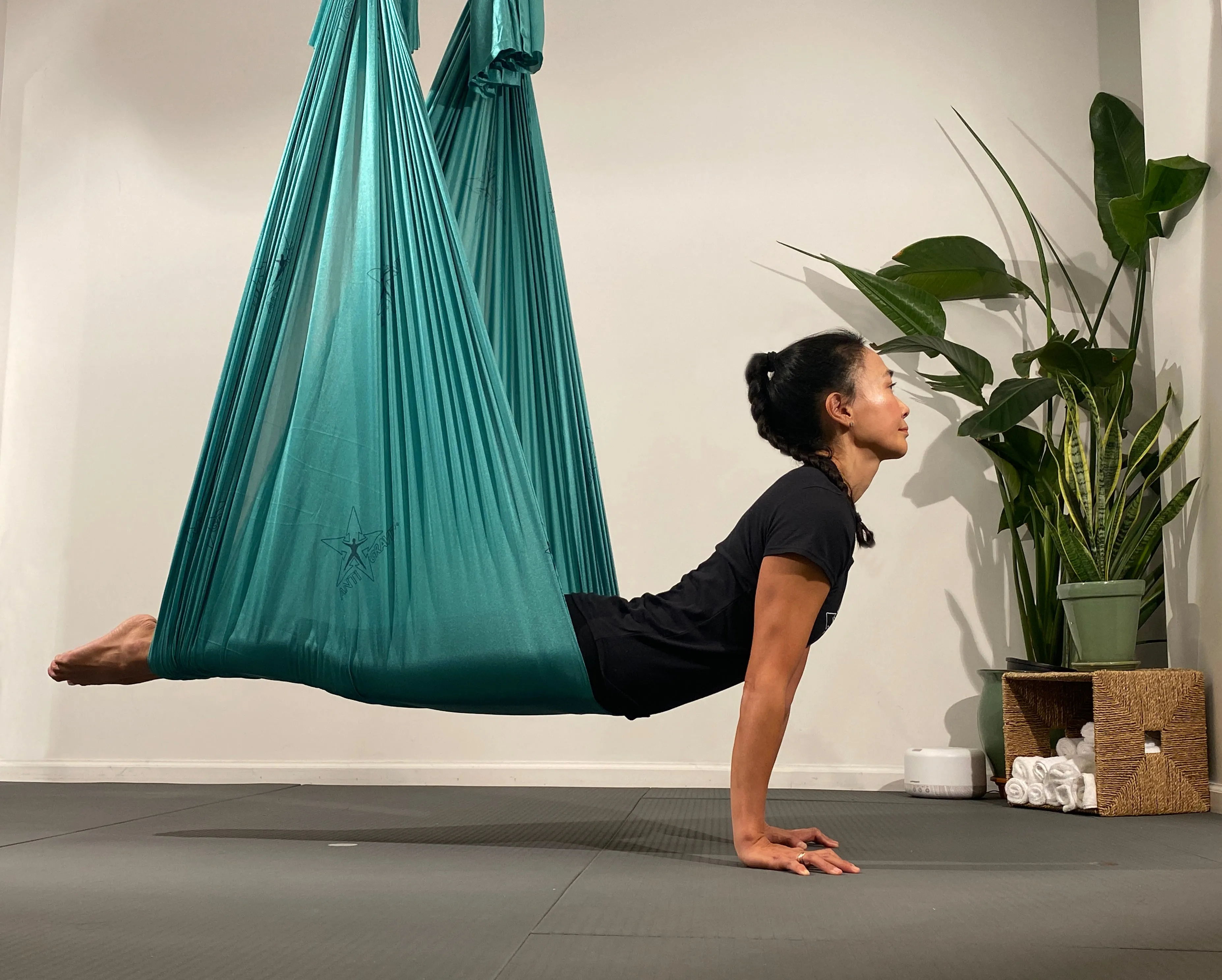 The Harrison AntiGravity® Hammock Kit