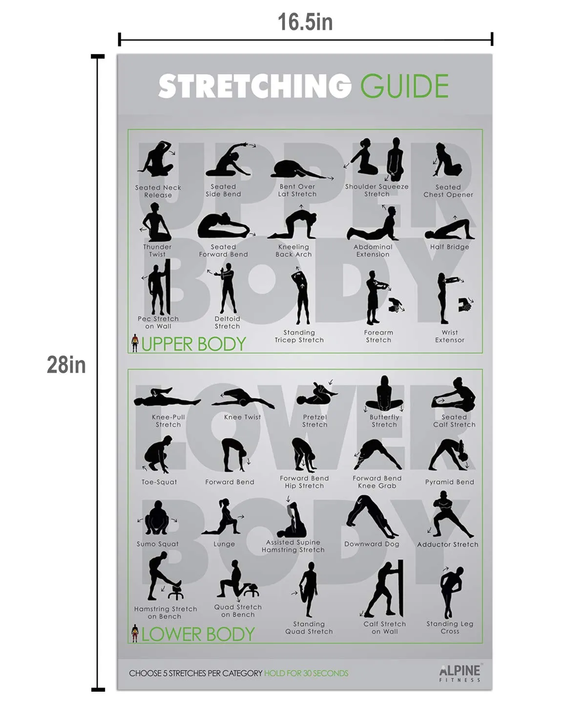 Workout Posters for Home Gym - Alpine Fitness Exercise Poster Bundle Includes 7 Gym